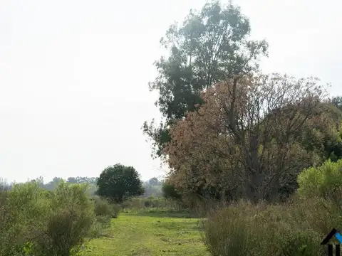 Atención Emprendedores! Venta Campo 30 Has. A pocos metros de la Ruta 192 camino mejorado.