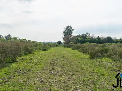 Ruta 192