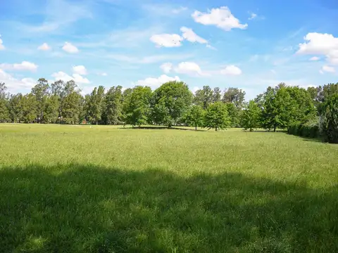 Terreno de 1300 m2 en el Country Golf La Carolina