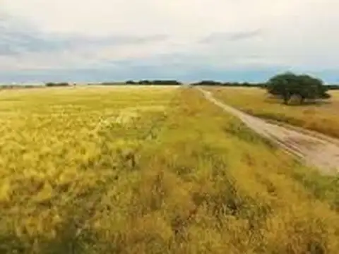 LA PAMPA 210has AGRICOLAS