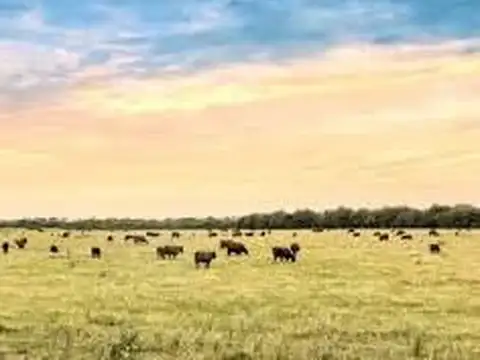 LA PAMPA 210has AGRICOLAS
