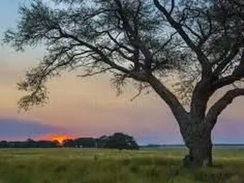 LA PAMPA 210has. AGRICOLAS + TaMbo  