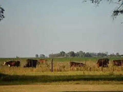 LA PAMPA 210has. AGRICOLAS + TaMbo  