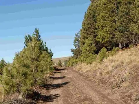 Terreno en Venta en San Martin De Los Andes, USD 44.290