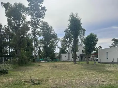 Alvarez del Bosque 9100