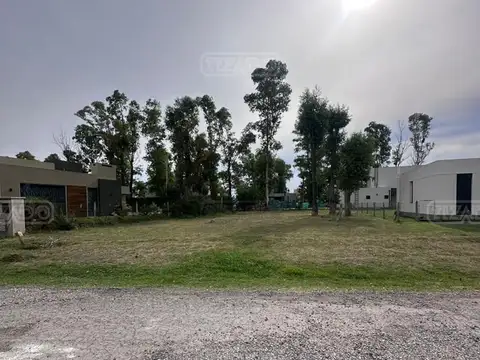 Terreno Lote  en Venta ubicado en Álvarez del Bosque, Zona Oeste
