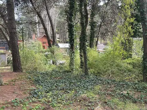 Necochea E ( 42 Y 43) 5320