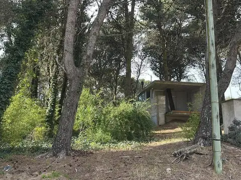 Terreno en Venta de 350,0 m2