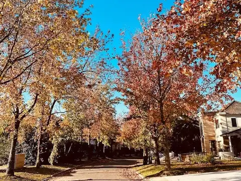 Ruta 58