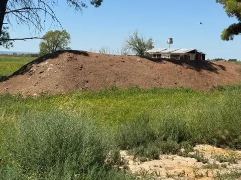 VENTA FINCA 120 HECTÁREAS  CARRIZAL LUJAN DE CUYO