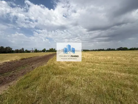 Terreno en Venta 50  mts Frente