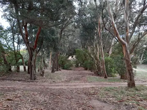 Avenida de las Fragatas y Mar Tirreno