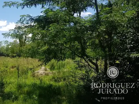 Lote De 2.500m2 Sobe La Calle La Pampa - La Bota - Benavidez