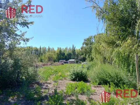 Vende Terreno en Allen Apto Desarrolo Industrial en Allén