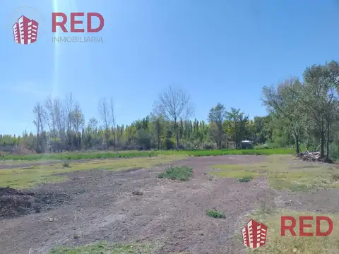 Terreno en Venta 61  mts Frente