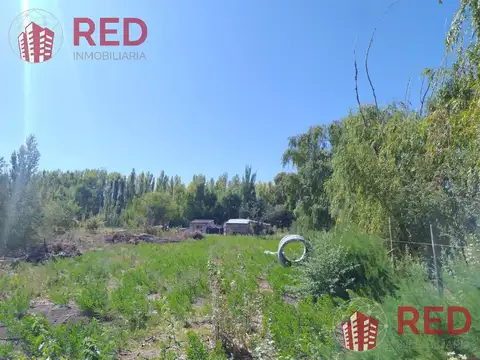 Vende Terreno en Allen Apto Desarrolo Industrial en Allén