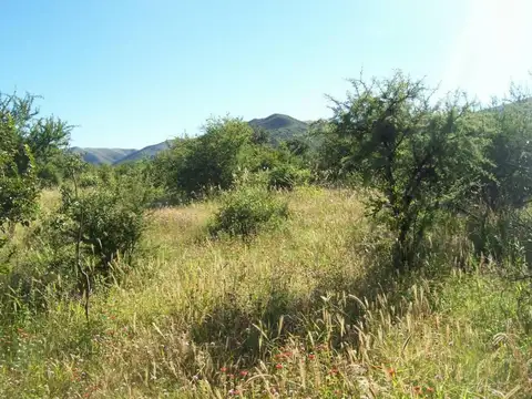 CHACRAS DE MONTAÑA/ZONA URITORCO/3 HA