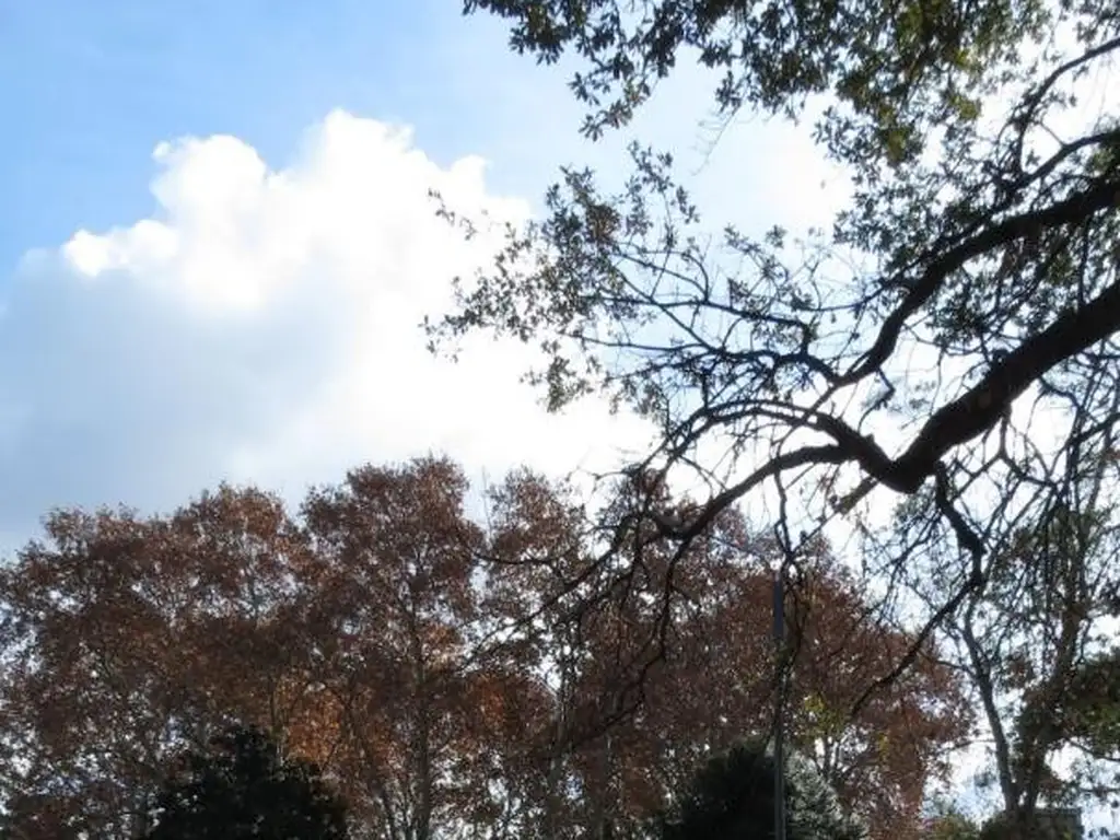 Urban Building  - Foto 14