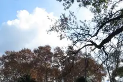 Urban Building  - Foto 14