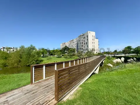 SOLIS 100