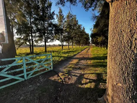 155 entre 76 y 78 100