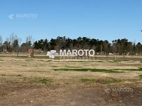 Lote en Venta en Barrio Puertos - Nativas - MAROTO PROPIEDADES