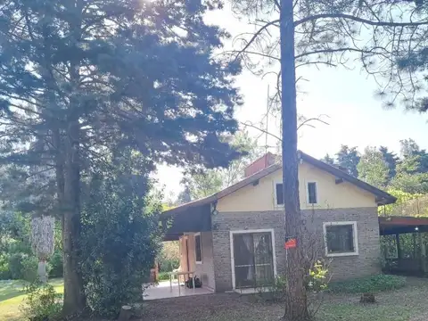 Pajarillo 100
