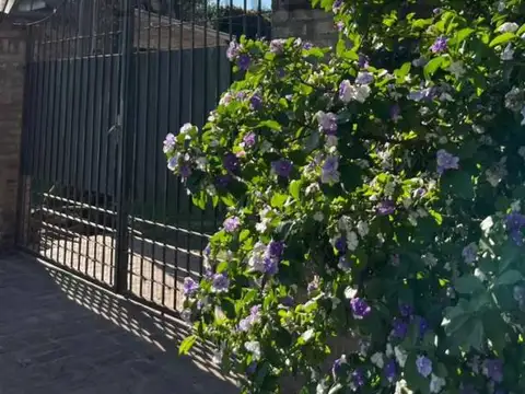 Avenida de la Bandera 1500, Piso 0