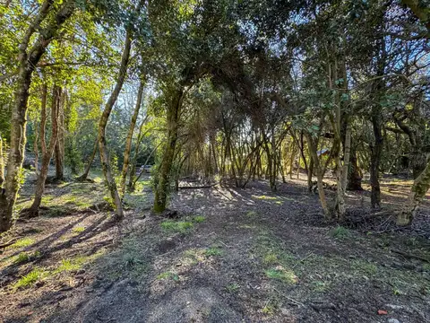Venta lote Villa La Angostura
