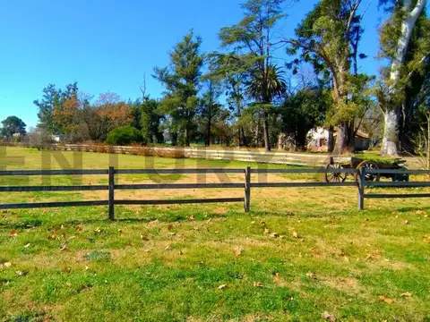 Callejon La Escondida , Piso 0