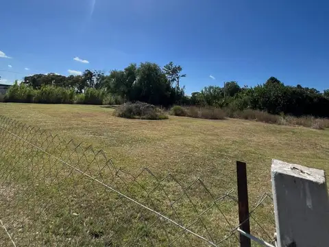 Don Celestino - Avenida 7 y 606