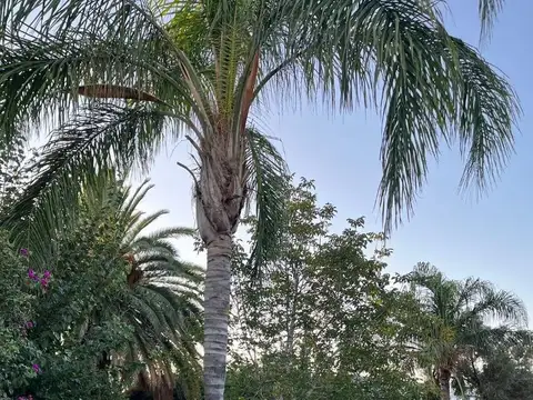 Casa en Venta 50 años