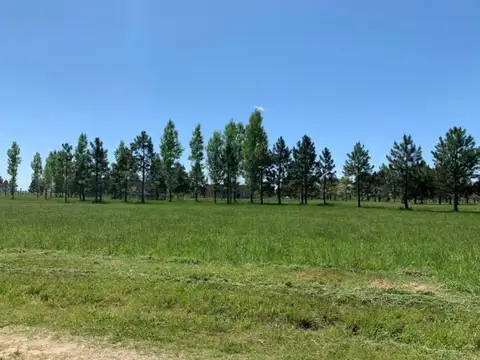 Terreno en Venta en Club de Campo Las Hojas, USD 35.000