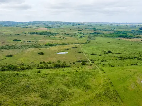 Chacra 39 hectareas - 100