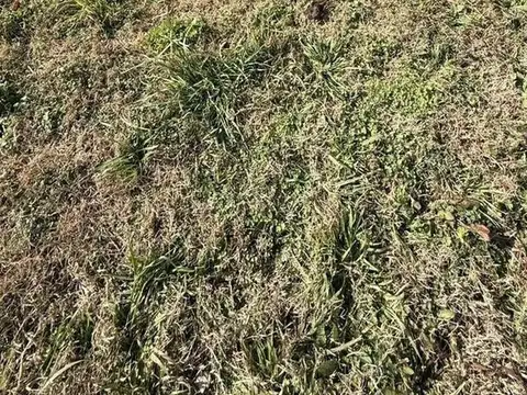 Terreno en Venta de 300,0 m2