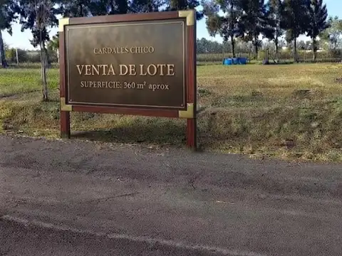 Cardales Chico - Lote 100