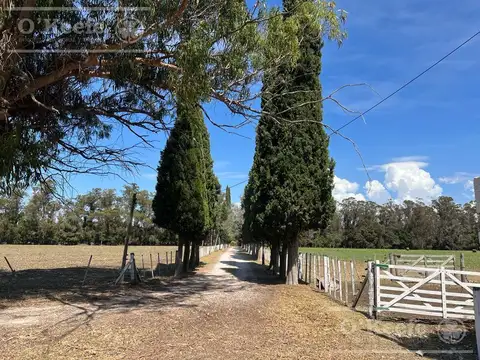 Chacra en venta 56 has en Verónica