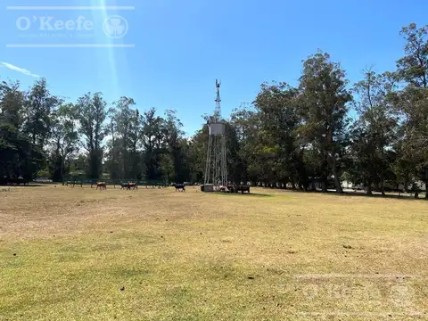 Chacra en venta 56 has en Verónica