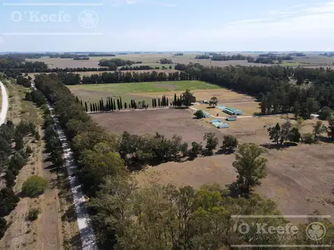 Chacra en venta 56 has en Verónica