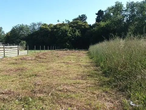 Terreno en Venta de 796,0 m2