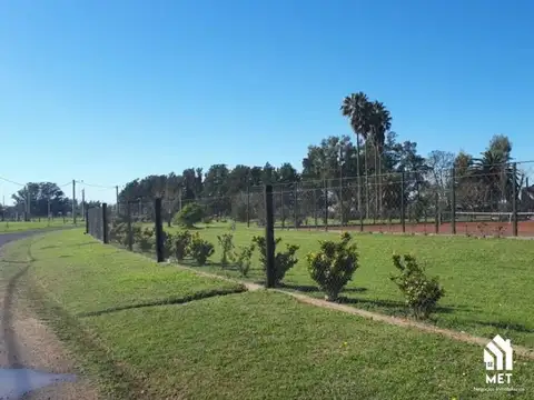 LOTES EN BARRIO ABIERTO EL MOLINO - ROLDAN