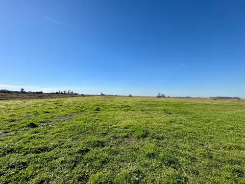 Campo en  Venta - 7,5 Ha