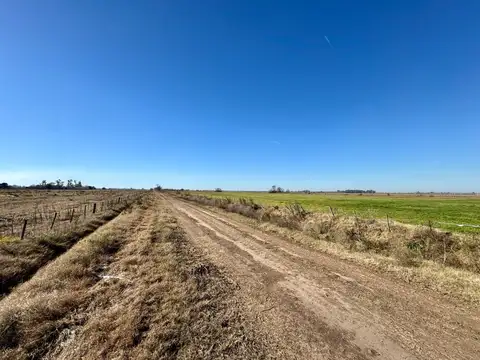 Camino Los Cardones