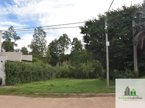 Terreno de 401m² en Villa Zorraquín: Sobre asfalto y con todos los servicios