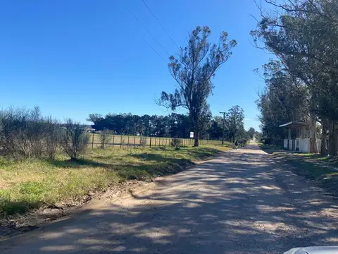 Campo 21 hectáreas excelente ubicacion . Silvestre Tohel  al 6600