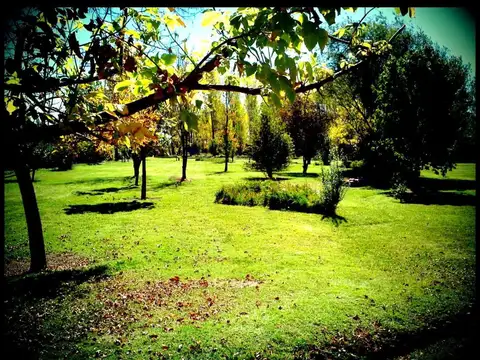 Salón de fiestas en Venta en Luján de Cuyo - Mendoza