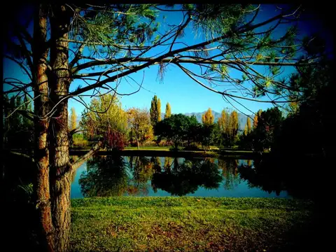 Callejón Villanueva s/n