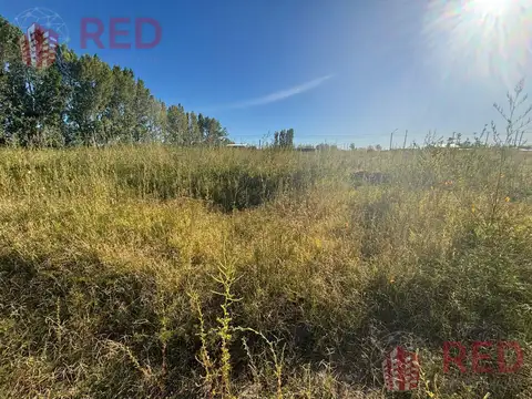 Terreno en Venta de 250,0 m2