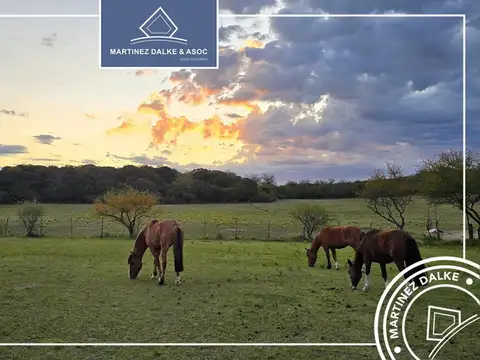 Campo en Venta de 125  ha
