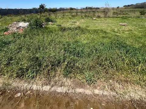 VENTA - PEREZ - 3 HECTAREAS - Ubicación Estratégica y Gran Potencial